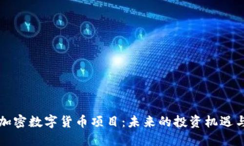 深入探索加密数字货币项目:未来的投资机遇与风险评估