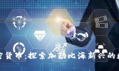 库拉索岛加密货币：探索加勒比海新兴
