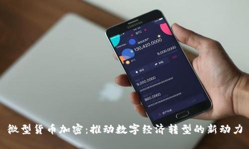 微型货币加密:推动数字经济转型的新动力
