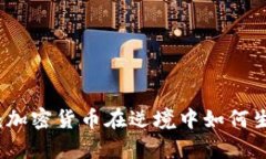熊市来了：加密货币在逆境中如何生存
