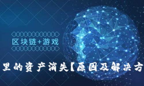 TP钱包里的资产消失?原因及解决方案详解