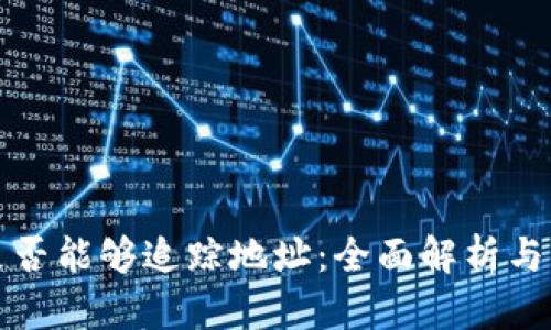 TP钱包是否能够追踪地址:全面解析与实用指南