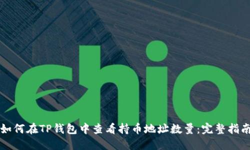 如何在TP钱包中查看持币地址数量:完整指南