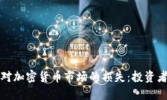 如何应对加密货币市场的损失：投资者