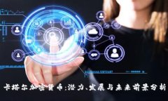 卡塔尔加密货币：潜力、发展与未来前