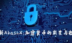 全面解析AkashX：加密货币的新星与投资