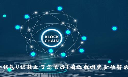# tp钱包U被转走了怎么办?有效找回资金的解决方案