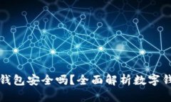 弘盛国际TP钱包安全吗？全面解析数字
