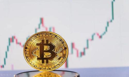 TP钱包的货币生态链:全面解析与未来展望
