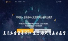 美元加密货币回归：生态、挑战与未来