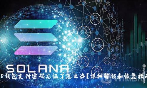 TP钱包支付密码忘记了怎么办?详细解锁和恢复指南