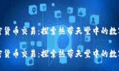 马尔代夫加密货币交易：探索热带天堂