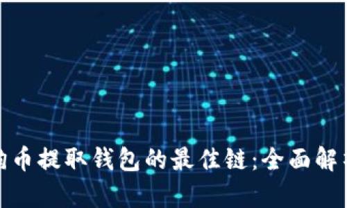 选择狗狗币提取钱包的最佳链:全面解析与建议