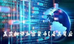 为什么比尔·盖茨批评加密货币？看其背后的深层