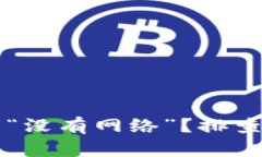 TP钱包为何显示“没有网络”？排查与