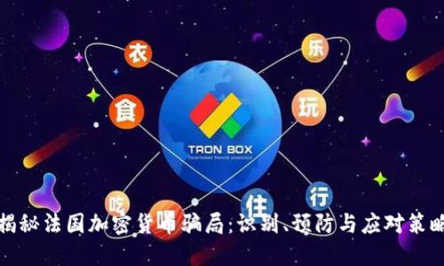 揭秘法国加密货币骗局：识别、预防与应对策略