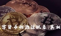 加密数字货币的泡沫现象：真相与对策