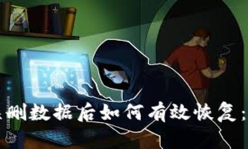 TP钱包误删数据后如何有效恢复:全面指南