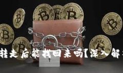 TP钱包U币被转走后能找回来吗？深入解