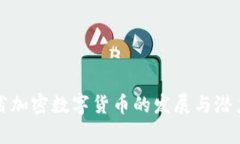 海南省加密数字货币的发展与潜力分析