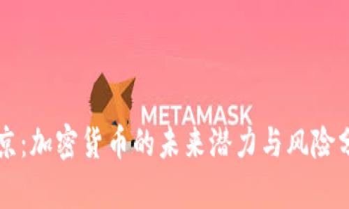 普京：加密货币的未来潜力与风险分析