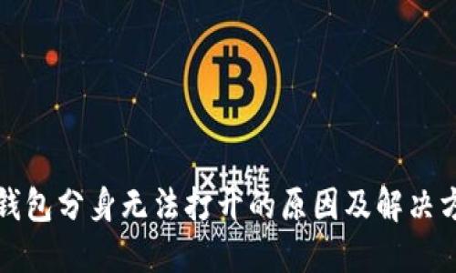 TP钱包分身无法打开的原因及解决方案