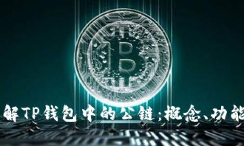 深入理解TP钱包中的公链：概念、功能与应用