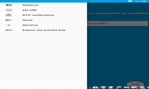 
探索日式加密货币的魅力与艺术：数字资产的视觉化时代