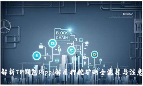 深入解析TP钱包Pippi解质押挖矿的全流程与注意事项