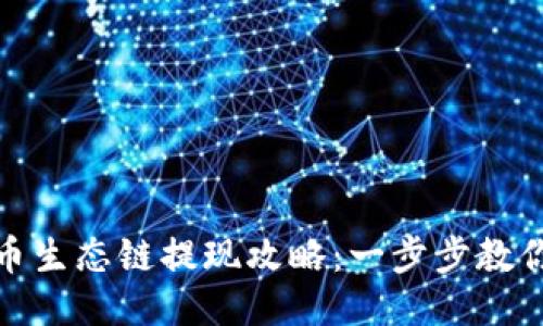 TP钱包货币生态链提现攻略：一步步教你轻松取款