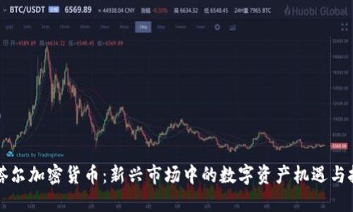卡塔尔加密货币：新兴市场中的数字资产机遇与挑战