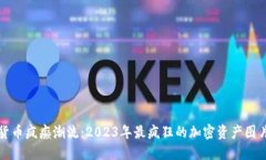 加密货币疯癫潮流：2023年最疯狂的加密资产图片