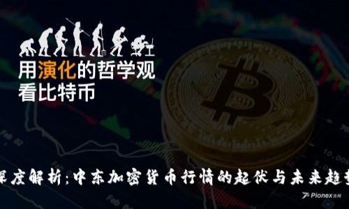 深度解析：中东加密货币行情的起伏与未来趋势