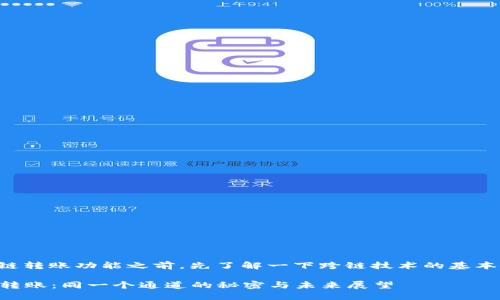 在探讨TP钱包的跨链转账功能之前，先了解一下跨链技术的基本概念及其应用场景。

### TP钱包跨链转账：同一个通道的秘密与未来展望