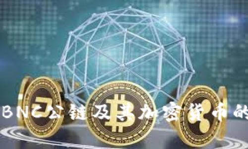 深入解析BNC公链及其加密货币的未来潜力