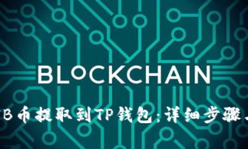 如何将SHIB币提取到TP钱包:详细步骤与注意事项