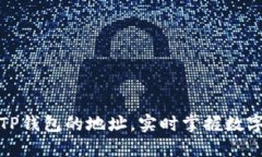 如何监测TP钱包的地址，实时掌握数字资产动态