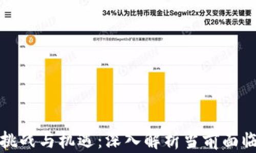 
加密货币的挑战与机遇：深入解析当前面临的主要问题