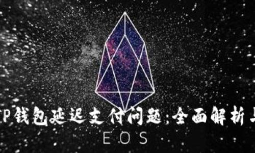 如何解决TP钱包延迟支付问题：全面解析与实用技巧